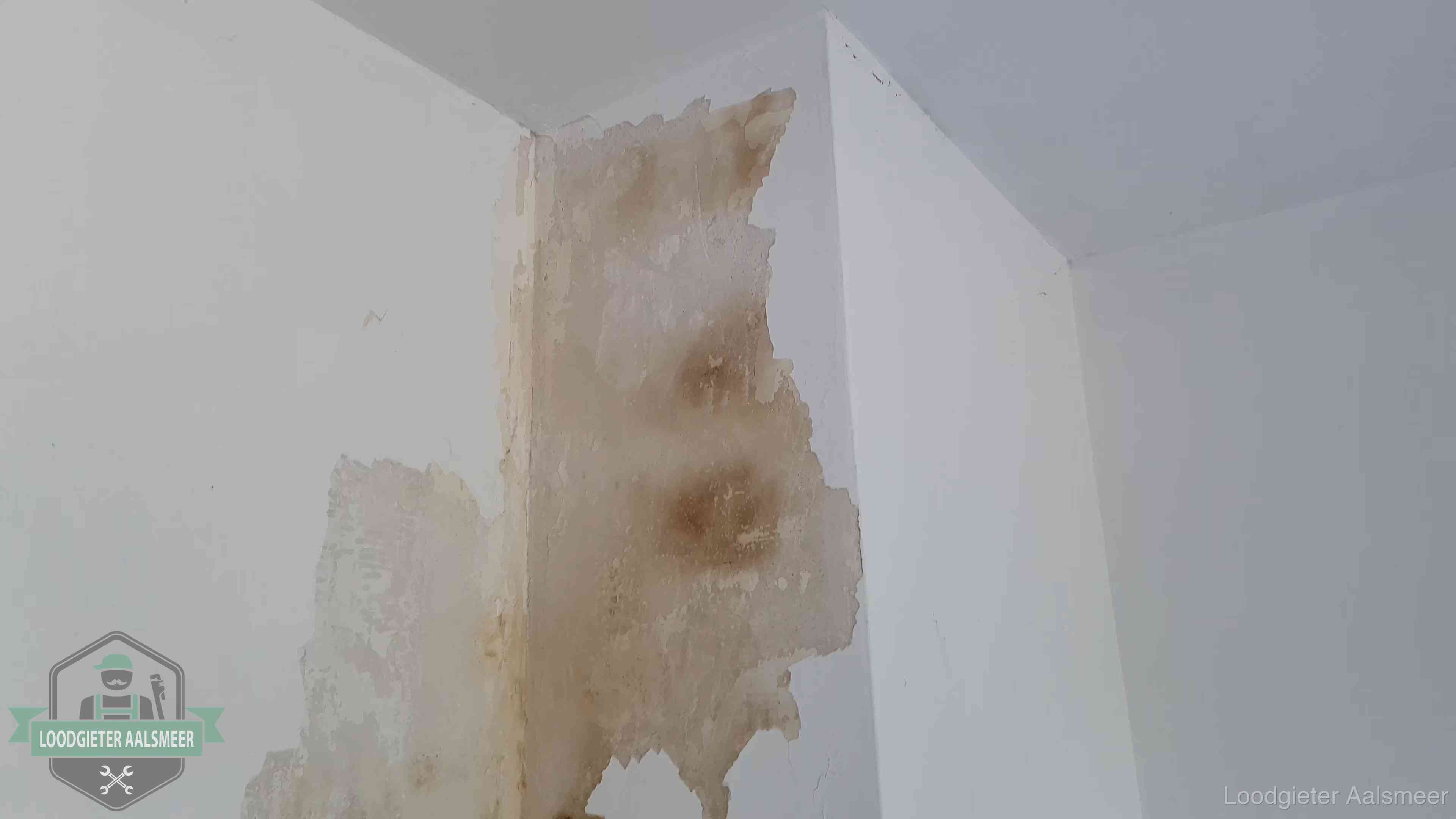 Bruine vochtkringen en afbladderend stucwerk op een binnenmuur in Aalsmeer, een eerste teken van daklekkage