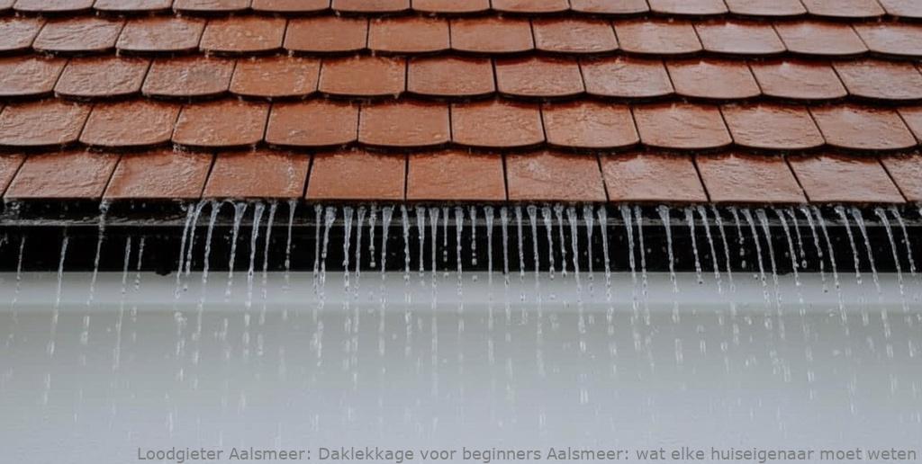 Daklekkage voor beginners Aalsmeer: wat elke huiseigenaar moet weten