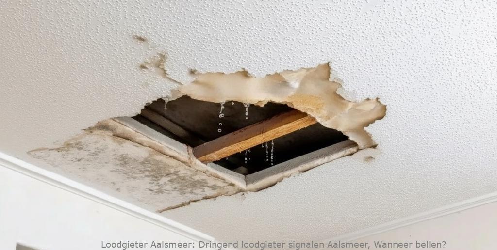 Dringend loodgieter signalen Aalsmeer, Wanneer bellen?