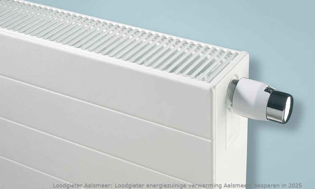 Loodgieter energiezuinige verwarming Aalsmeer: besparen in 2025