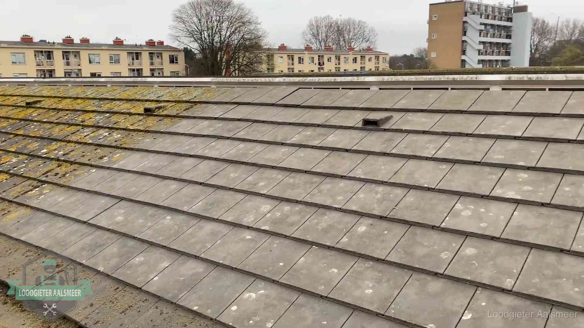 Schuin dak met betonpannen vol mos in Aalsmeer, een risico op lekkage bij de pannen