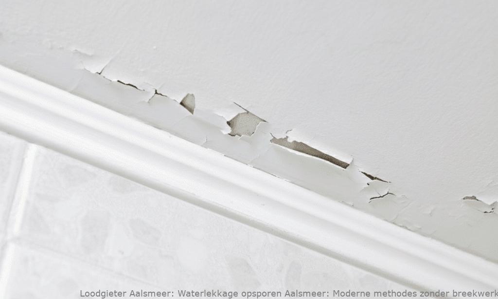 Waterlekkage opsporen Aalsmeer: Moderne methodes zonder breekwerk